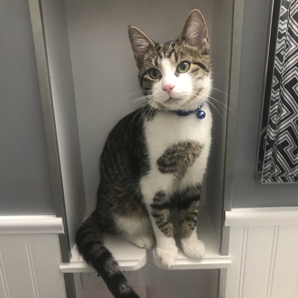 Meet your Posher, Carly